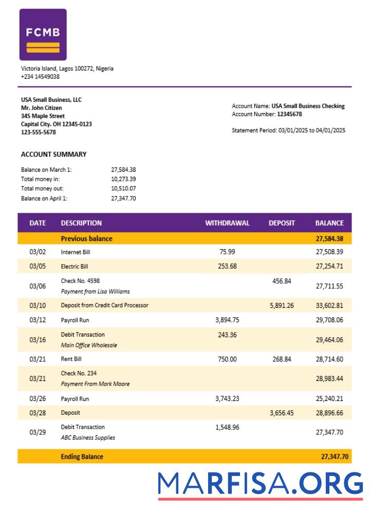 Realistic FCMB organization checking account statement Word and PDF template (1)